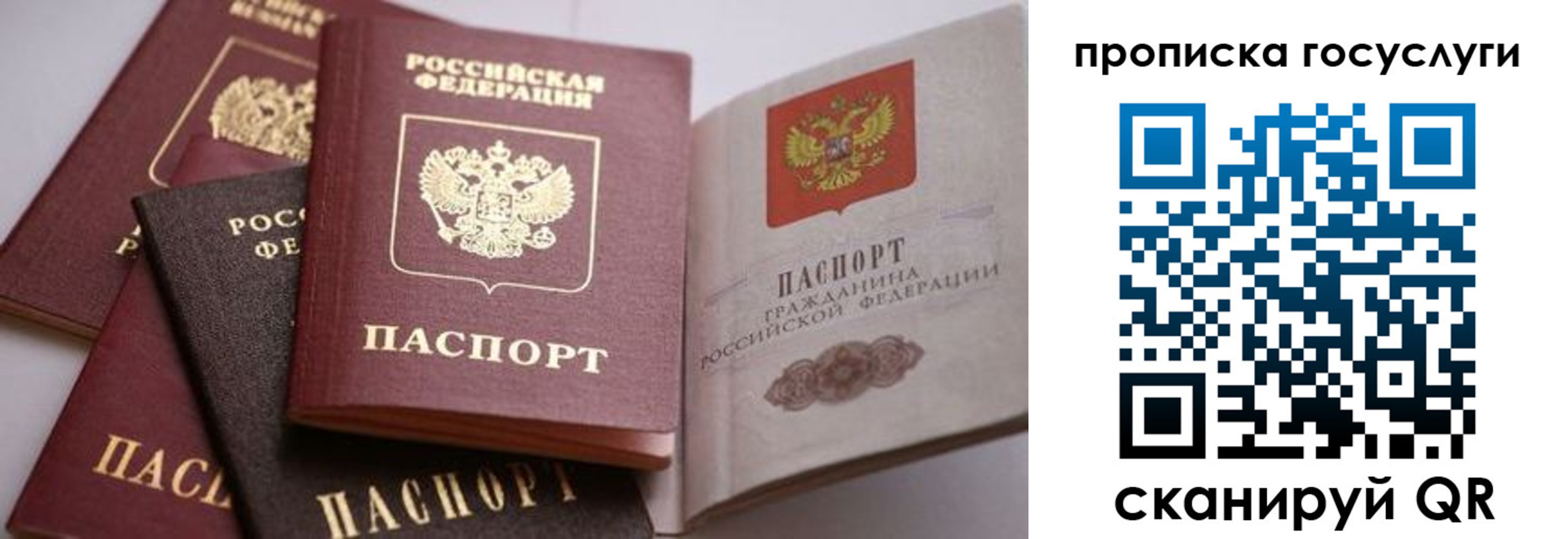 прописка иностранных граждан в Орле